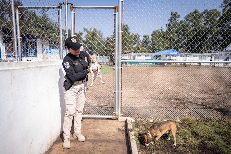 Mujer policía sosteniendo a un perro en brazos