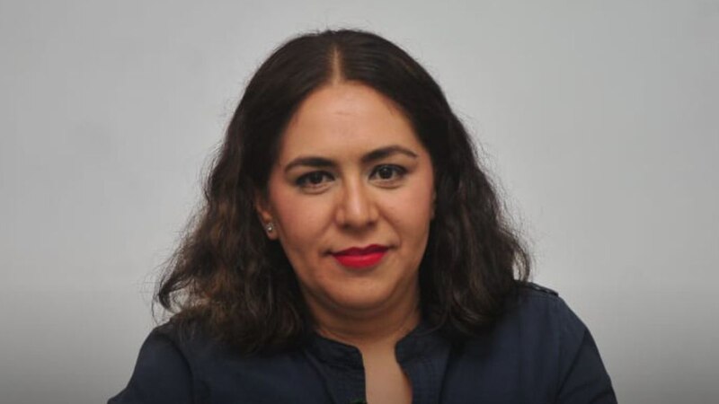 La Dra. Ana María Polo es una abogada y personalidad de la televisión cubanoamericana.