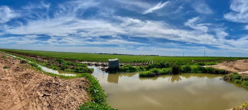 Inundación en un campo de cultivo