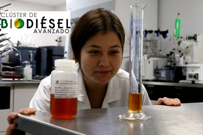 Científica en un laboratorio sosteniendo un frasco con biocombustible