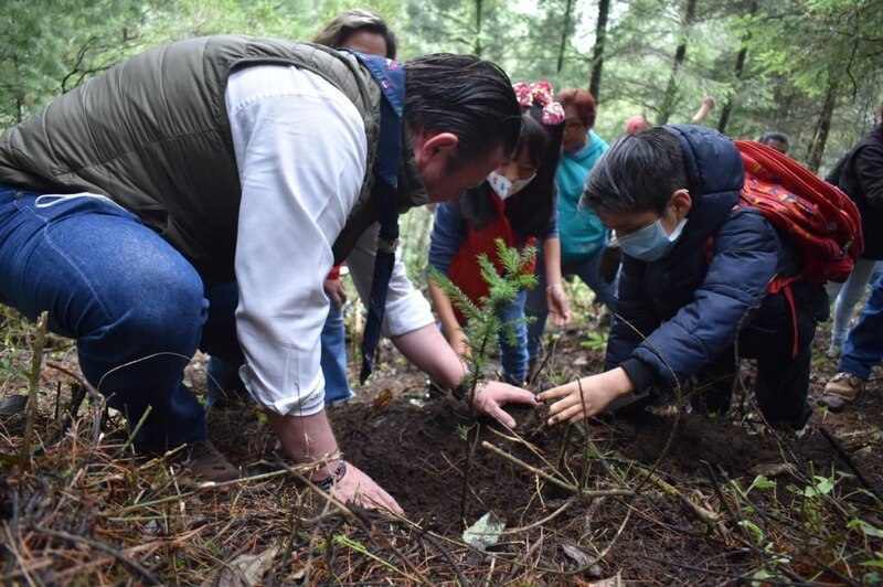 Un grupo de personas plantando un árbol en un bosque.