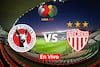 Tijuana vs Necaxa: Horario, canal, cómo y dónde ver en vivo la Liga MX