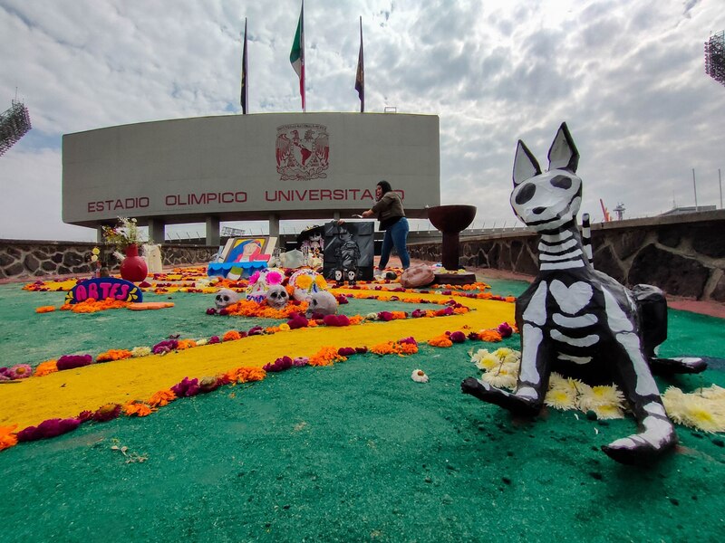 Se realizó la Mega Ofrenda Universitaria 2023 en los alrededores del Estadio Olímpico Universitario, la cual esta dedicada a científicas, juezas, maestras, actrices, pintoras, doctoras y mujeres de las ciencias, humanidades y artes. Los visitantes pudieron apreciar las 46 ofrendas que fueron elaboras por los diferentes escuelas de la UNAM y en las se destacaba la vida y obra de mujeres como Frida Kahlo o María Sabina