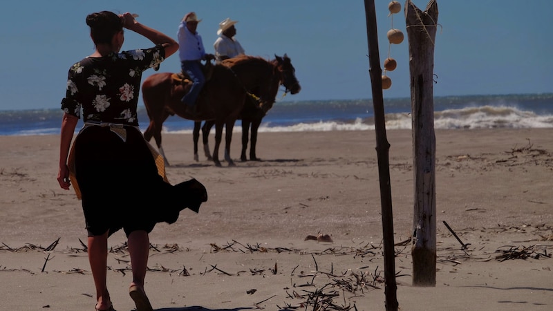 Mujer caminando por la playa con caballos al fondo