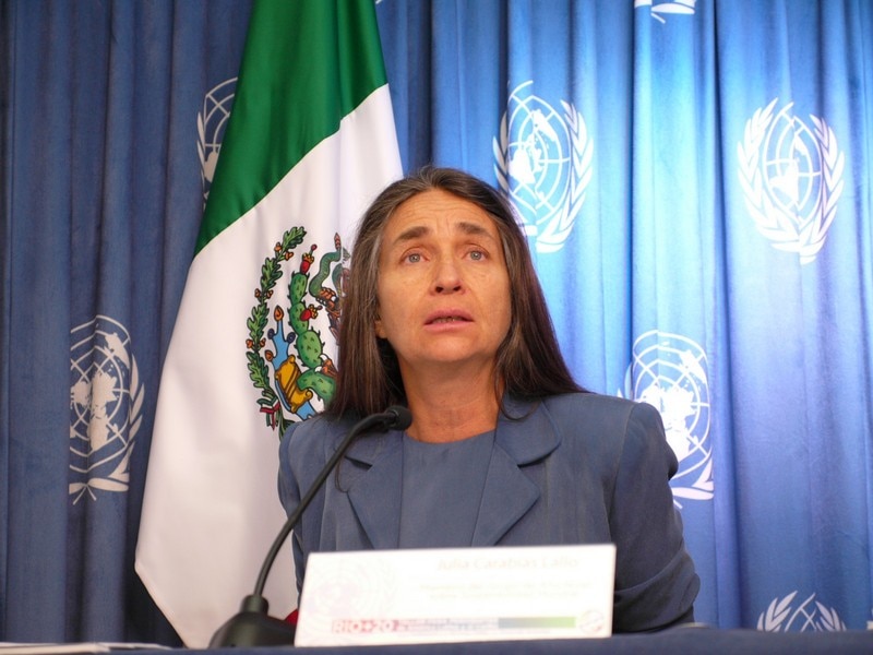 La Embajadora Patricia Espinosa pronuncia un discurso en la ONU.