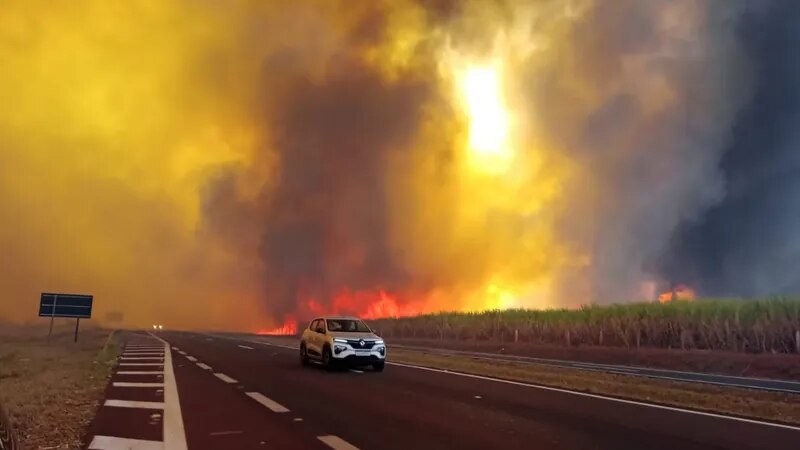 Incendios forestales en Brasil