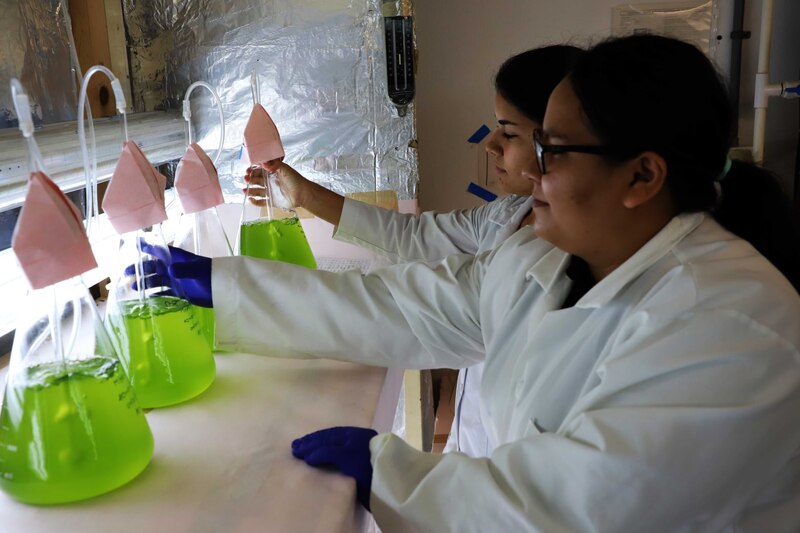 Científicas trabajando en un laboratorio