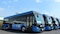 Asociación Mexicana de Transporte y Movilidad establece alianza para promover créditos de carbono