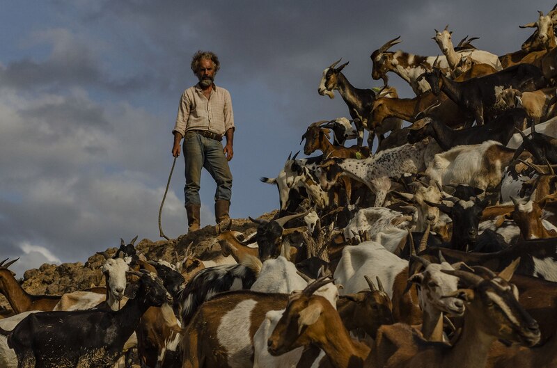 Pastor de cabras en una montaña