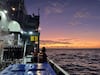 El calentamiento oceánico amenaza a unos microbios esenciales para la fotosíntesis global