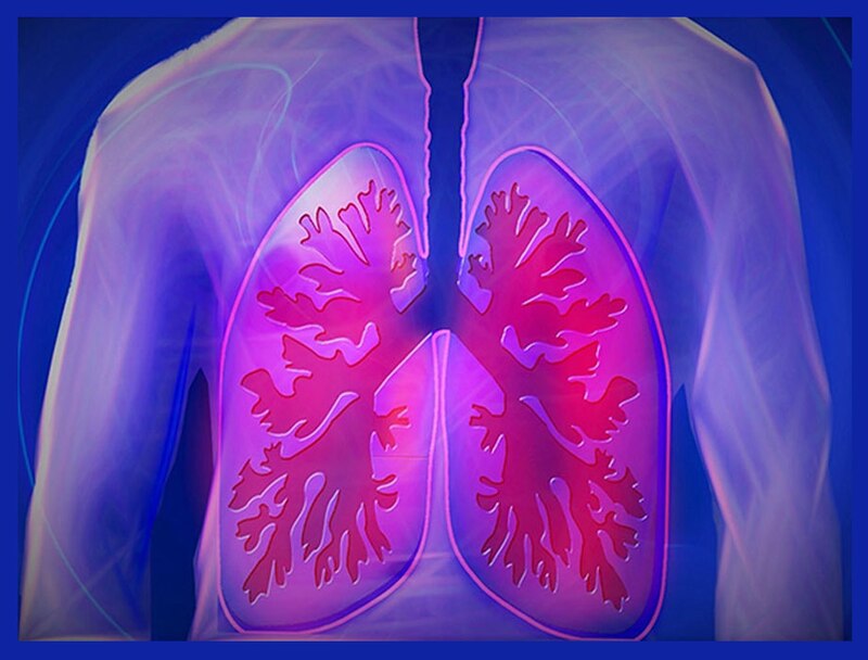 Pulmones
