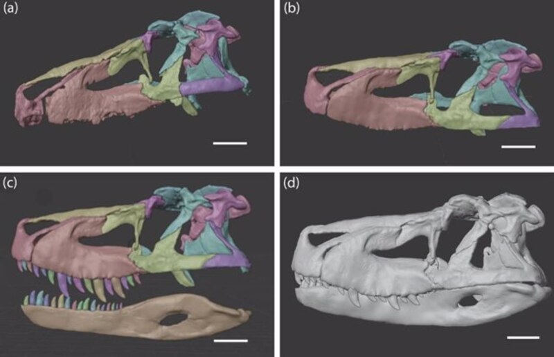 Dinosaurio