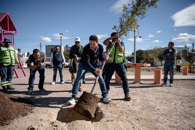 Reforestación realizada en la plaza de la colonia Saltillo 2000 como parte del programa "Aquí Andamos", promoviendo espacios públicos más verdes y sostenibles.