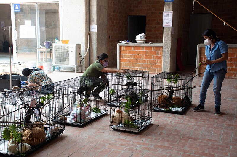 Rescate de animales en cautiverio