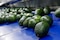 México amplía su mercado de aguacate con destino a Brasil