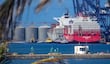 México y Chequia aumentan en 10.5% su comercio agroalimentario