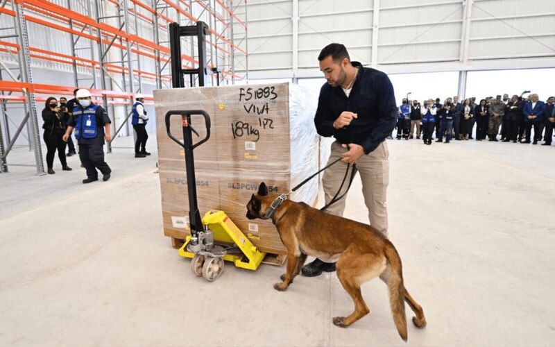 Perro policía entrenado para detectar drogas