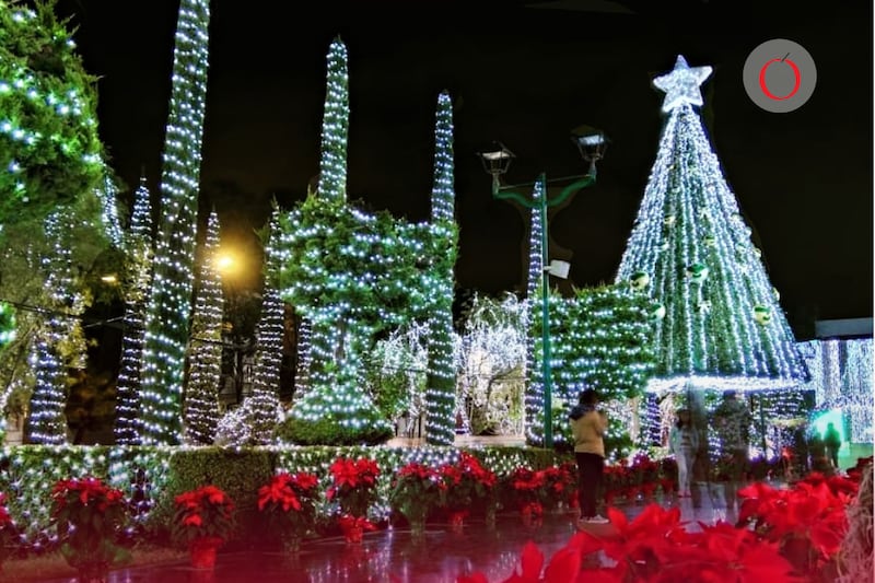 Descubre cuáles son los mercados navideños para disfrutar la temporada sin salir de la Ciudad de México.