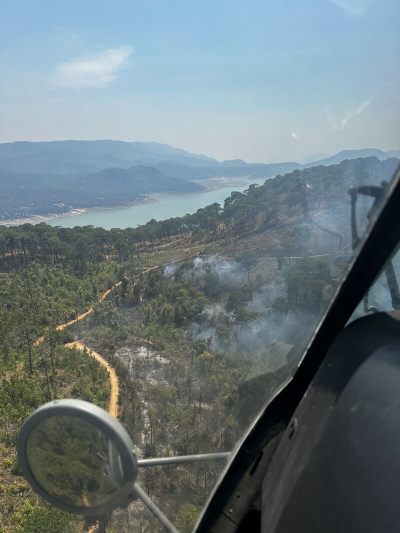 Incendio forestal en España