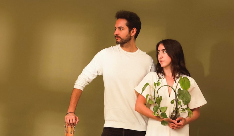 Pareja joven con guitarra y planta