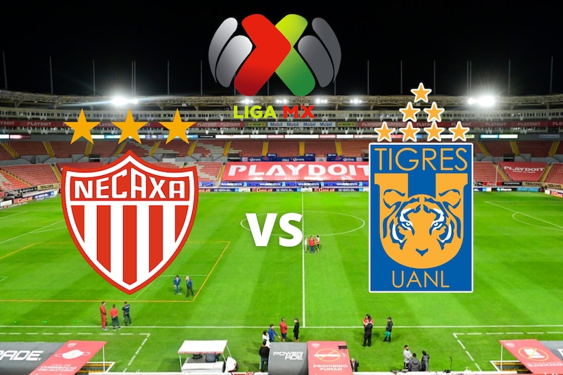 Liga MX Jornada 10, Partido Necaxa-Tigres