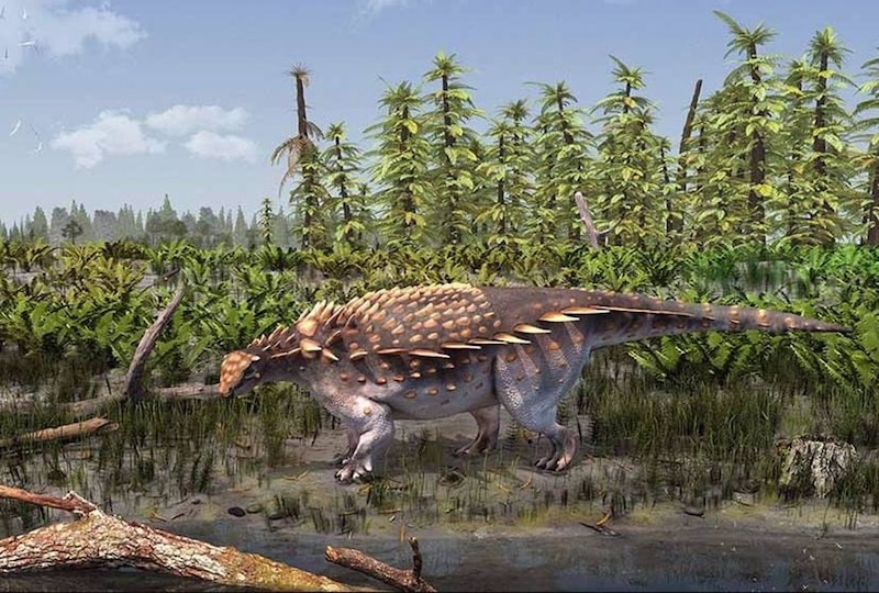 El dinosaurio Ankylosaurus