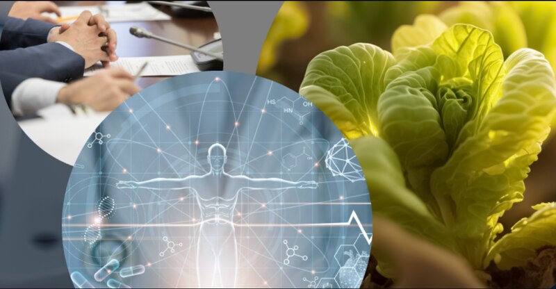 La biotecnología agrícola y su impacto en la salud humana