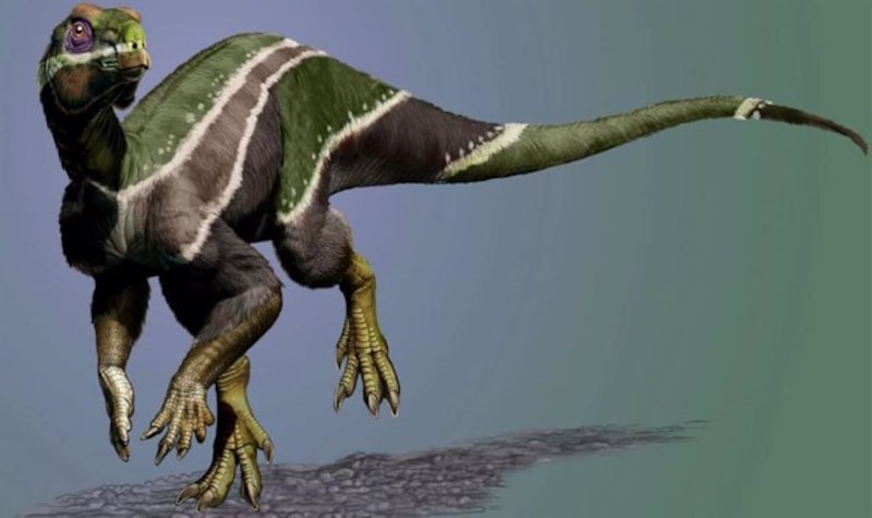 Un dinosaurio emplumado