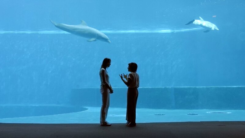 Dos mujeres mirando a los delfines