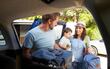 Auto o camioneta: ¿Qué conviene más rentar para un viaje familiar?
