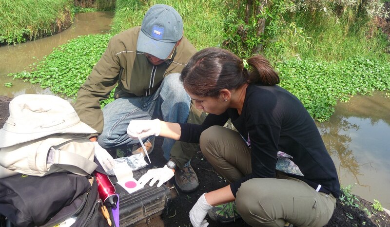 Científicos toman muestras de agua de un río contaminado