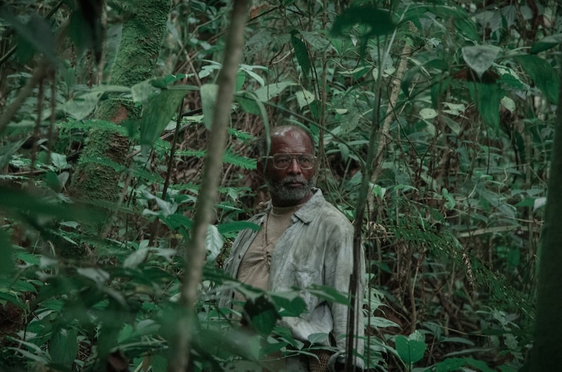 Un hombre negro en la selva