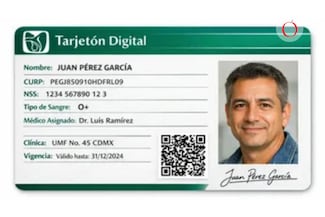 Tarjetón Digital del IMSS 2026: ¿Quiénes deben tramitarlo?
