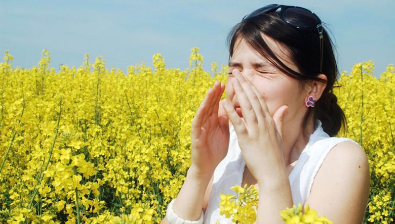 Mujer joven estornudando en un campo de flores amarillas