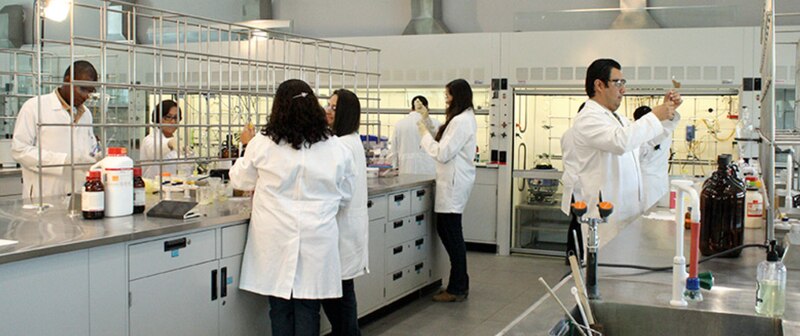 Científicos trabajando en un laboratorio