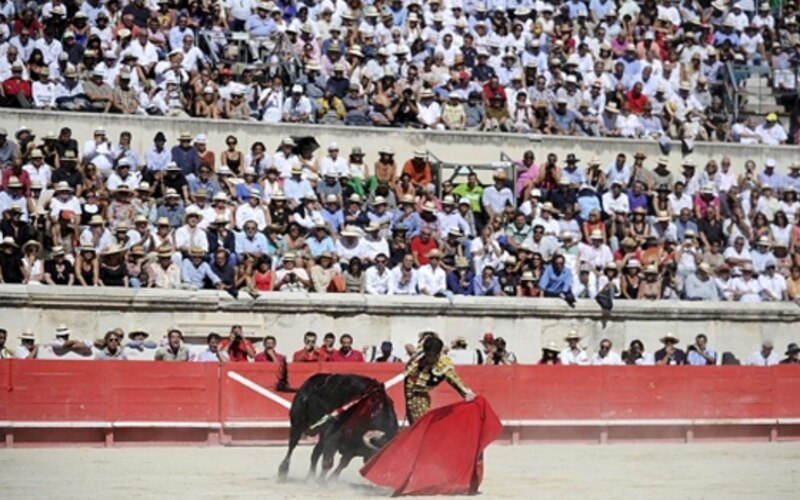 Estocada al toro