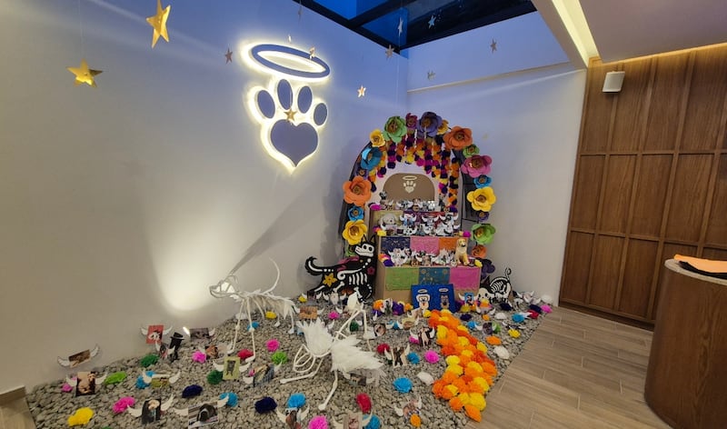 Ofrenda de Pets in the Sky