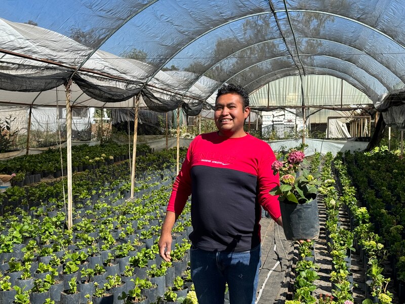 Un agricultor sonriente sostiene una planta en un invernadero