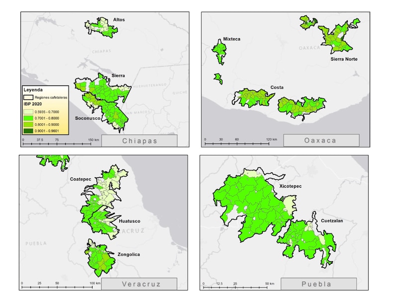 Mapa de las regiones cafetaleras de México