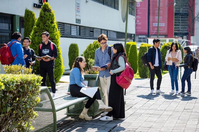Estudiantes universitarios conversando en el campus