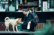 ‘Hachiko’: La versión china de la trágica historia del perro que ha hecho llorar a generaciones