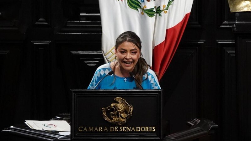 La senadora mexicana Citlalli Hernández Mora.