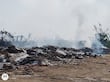 La basura, implicaciones para la biodiversidad
