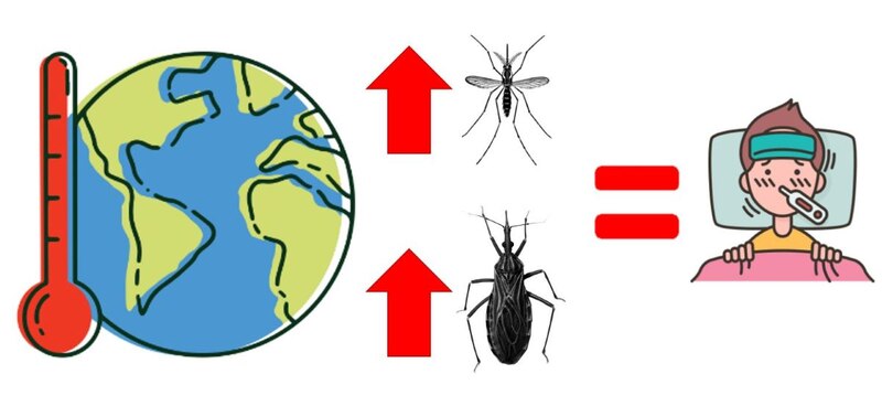 El cambio climático y las enfermedades transmitidas por mosquitos