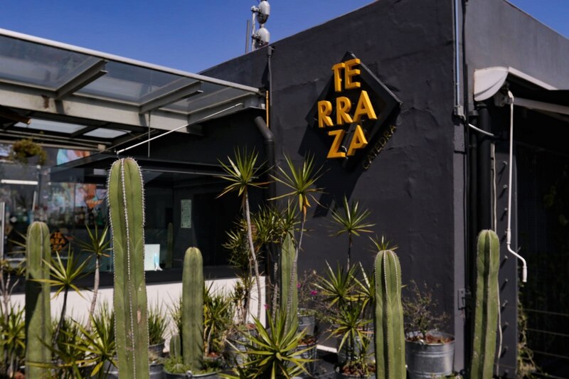 La Terraza del Cactus