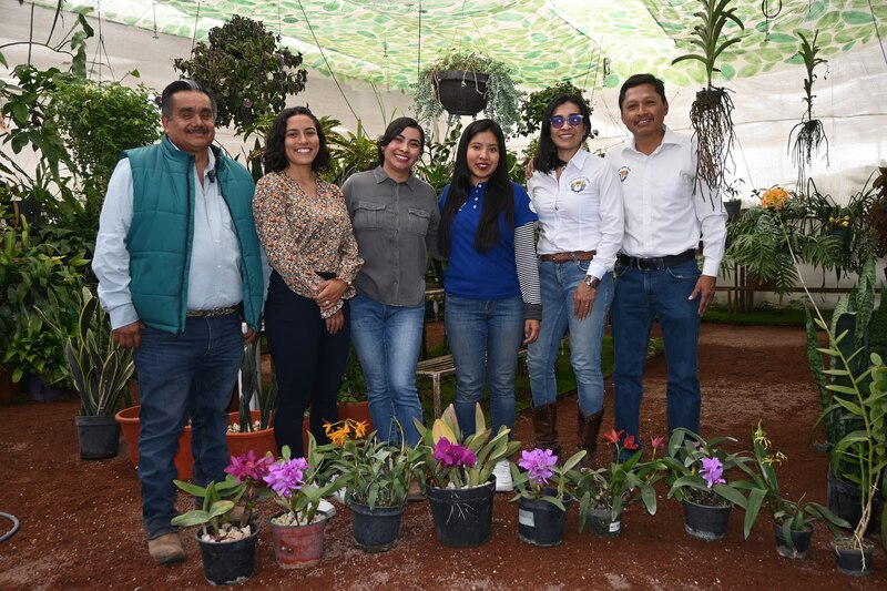 Cultivo de orquídeas en invernadero.