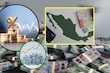 Deuda pública de México