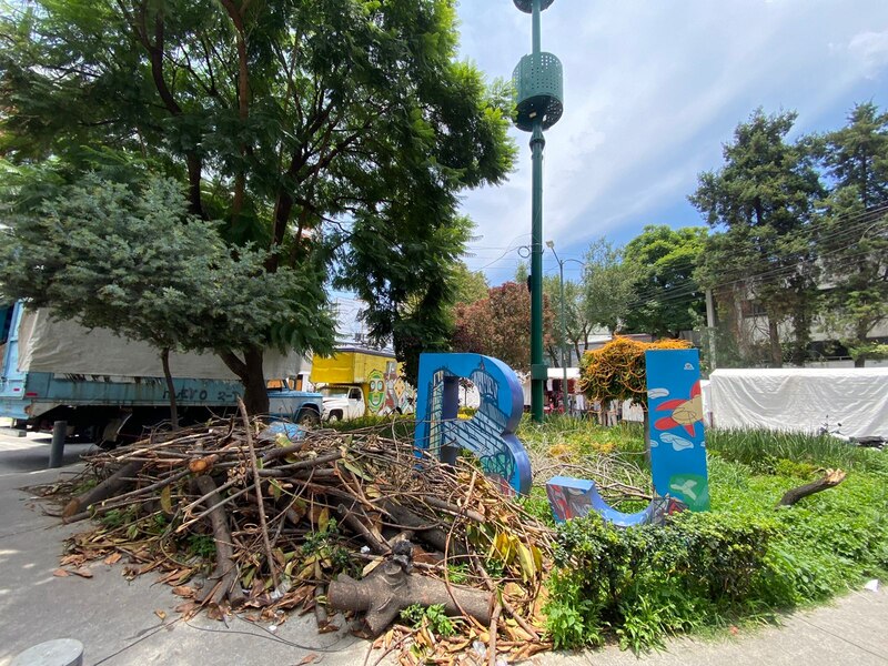 Ramas de árboles tiradas en la calle