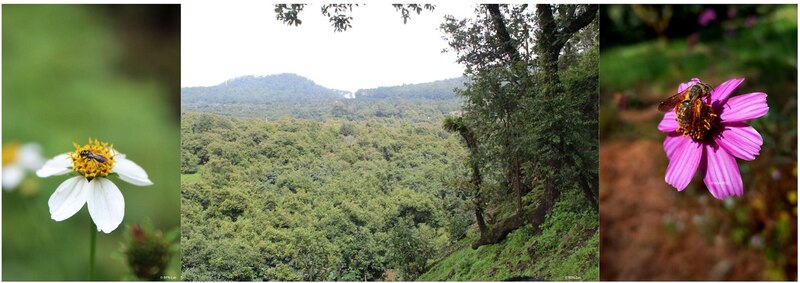 La belleza de la naturaleza