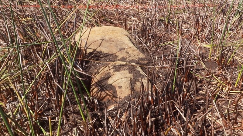 Enorme piedra antigua en el campo